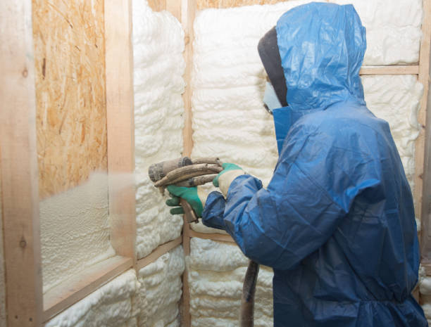 Best Batt and Roll Insulation  in Mckinney, TX